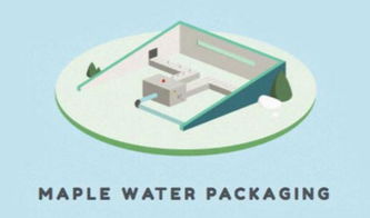 楓樹汁進口全流程指南 從國外貨源到國內市場的關鍵環節解析